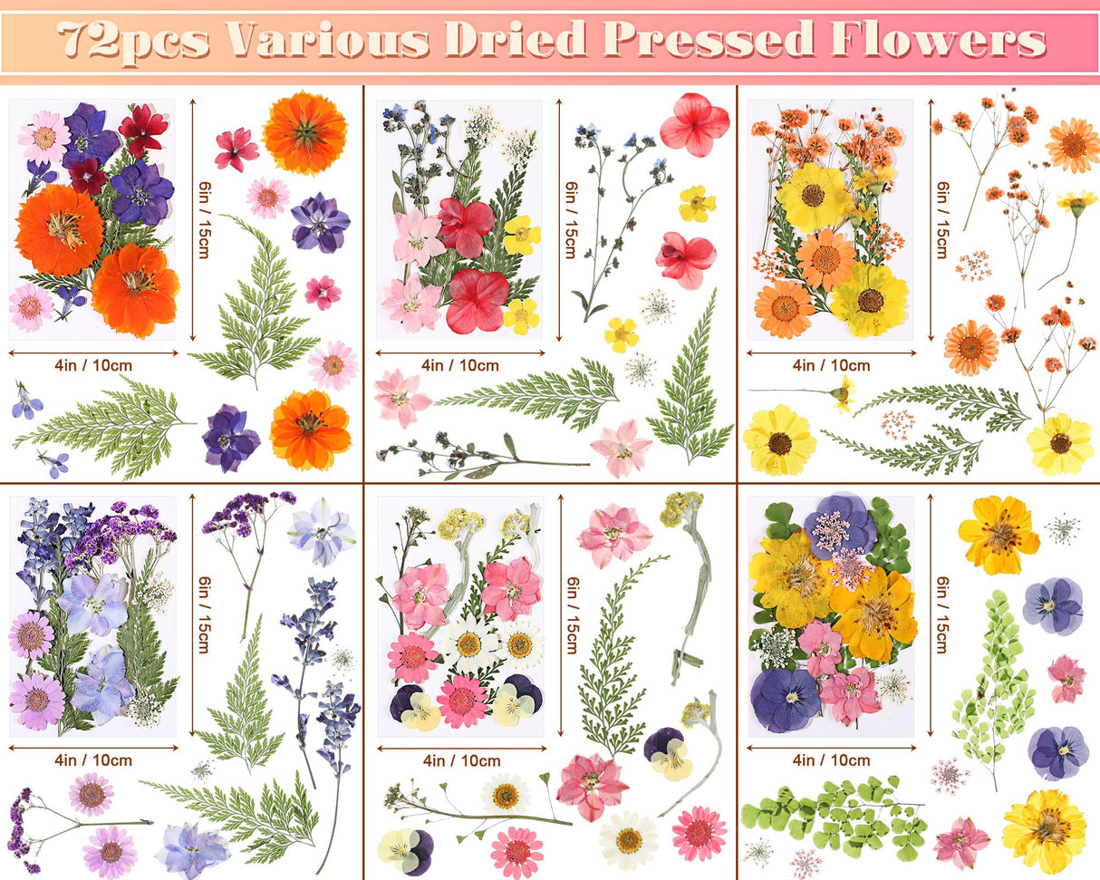 eBoot 72 Pcs Dried Pressed Flowers for Resin Molds Real Pressed Flowers Dry Leaves Bulk Natural Herbs Kit for Scrapbooking DIY Art Crafts Jewelry EBOOT