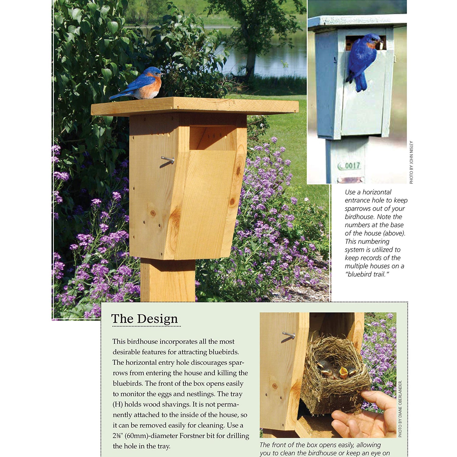 Birdhouses, Boxes & Feeders for the Backyard Hobbyist: 19 Fun-to-Build Projects for Attracting Birds to Your Backyard (Fox Chapel Publishing) Fox Chapel Publishing