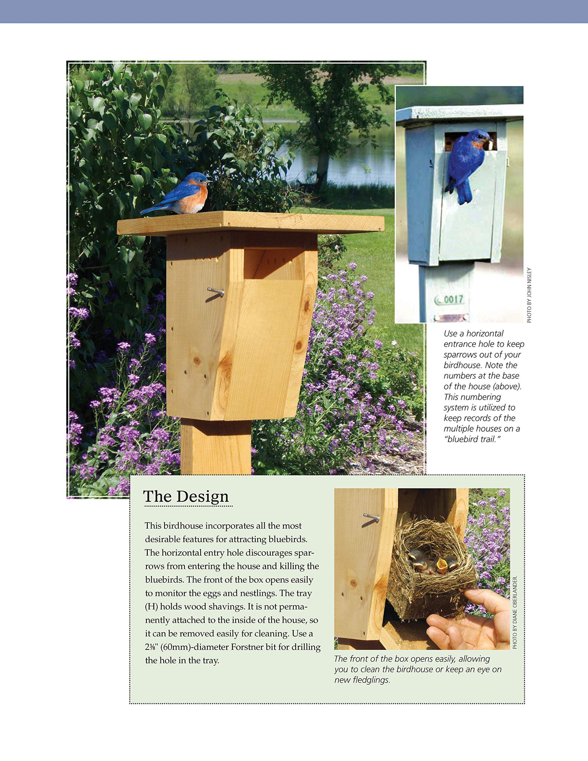 Birdhouses, Boxes & Feeders for the Backyard Hobbyist: 19 Fun-to-Build Projects for Attracting Birds to Your Backyard (Fox Chapel Publishing) - WoodArtSupply