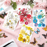 Real Dried Pressed Flower Set with Butterfly Transparent Stickers Scrapbook Decals Natural Dried Flowers Leaves with Tweezers for Resin Supplies DIY Augshy