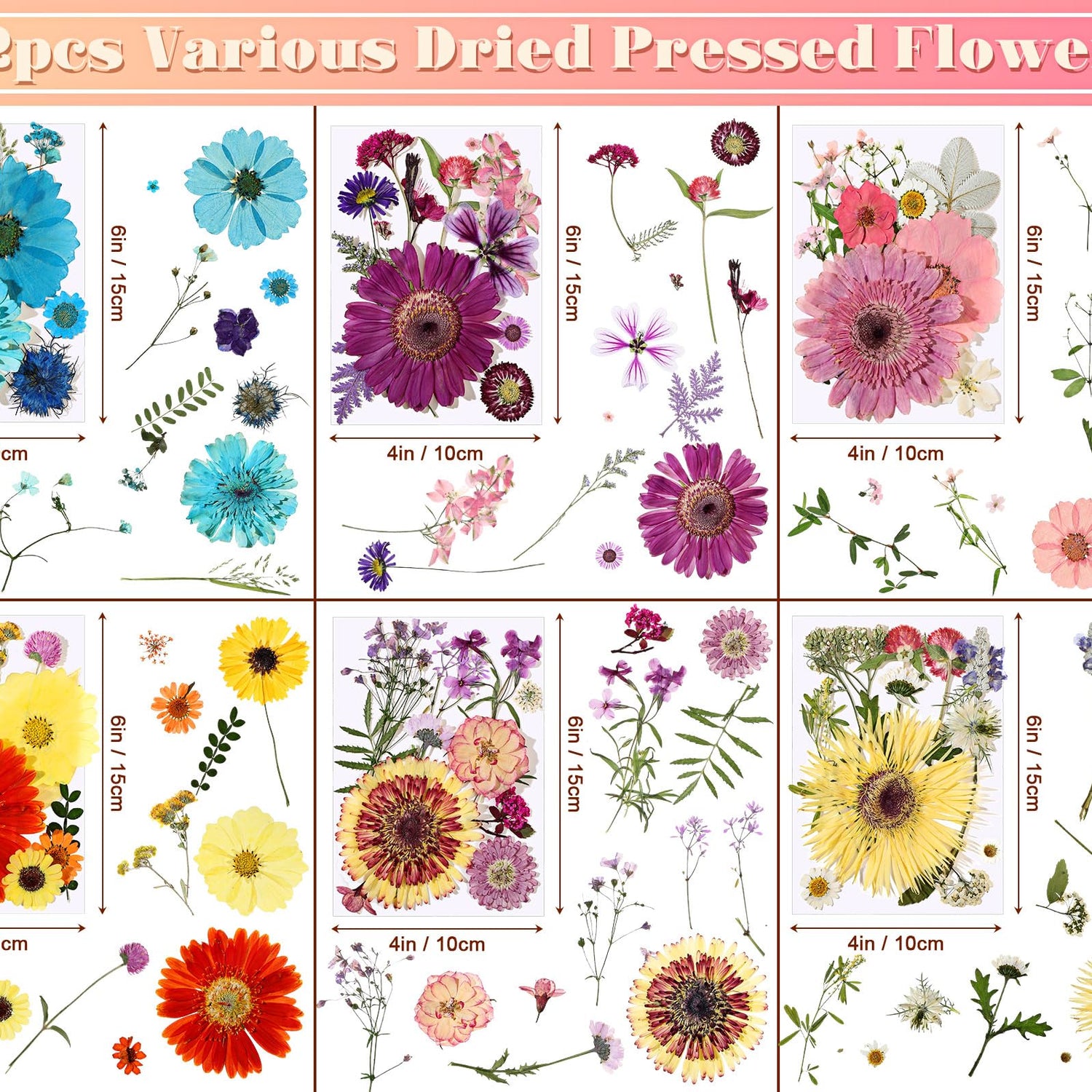 eBoot 72 Pcs Dried Pressed Flowers for Resin Molds Real Pressed Flowers Dry Leaves Bulk Natural Herbs Kit for Scrapbooking DIY Art Crafts Jewelry EBOOT