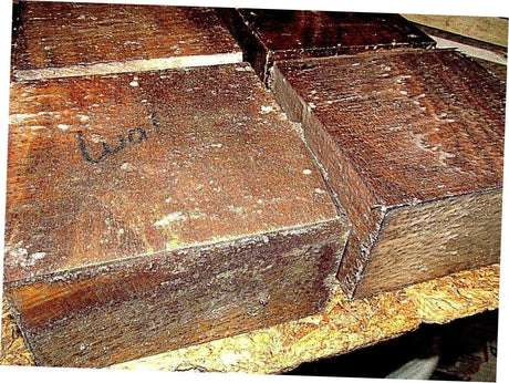 Two B Grade Black Walnut Bowl Blanks Lathe Turning Wood Lumber 6" X 6" X 3" Suitable Wood Pieces for Wood Crafts and Projects Generic