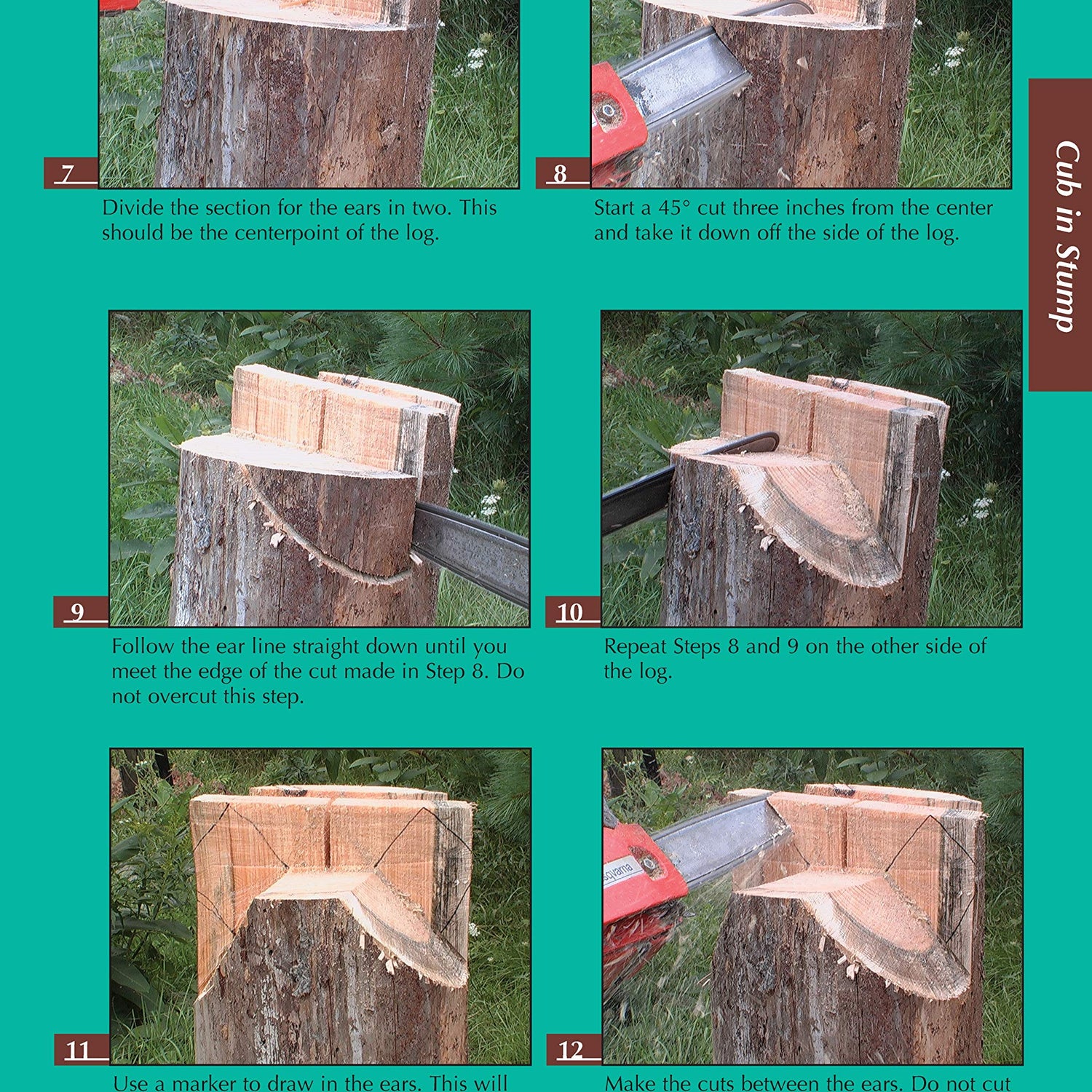 Chainsaw Carving a Bear: A Complete Step-By-Step Guide (Fox Chapel Publishing) Beginner-Friendly Details and Easy-to-Follow Illustrated Instructions Design Originals