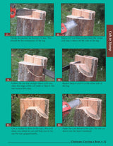 Chainsaw Carving a Bear: A Complete Step-By-Step Guide (Fox Chapel Publishing) Beginner-Friendly Details and Easy-to-Follow Illustrated Instructions Design Originals