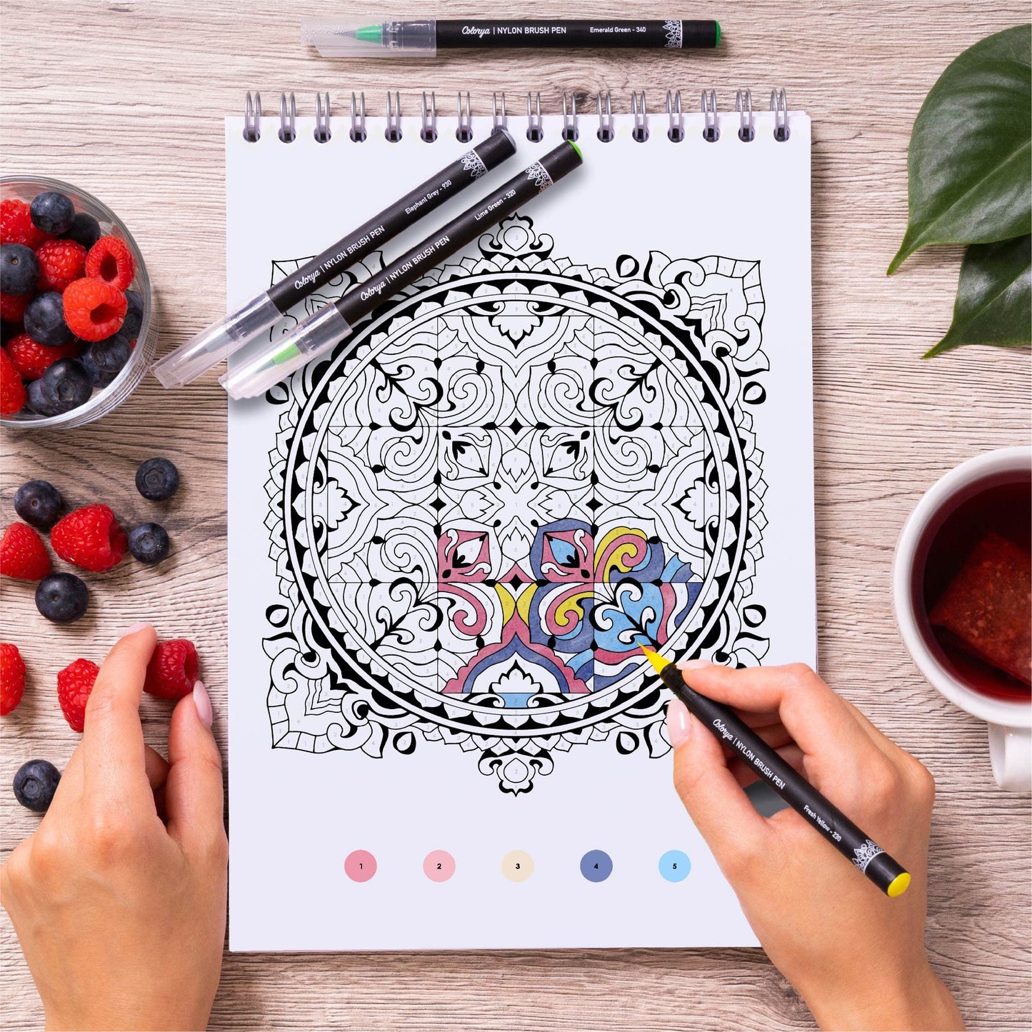 Mandalas Mystery Adult Coloring Books by Colorya - A4 Size - Coloring Books by Number for Men and Women - Premium Quality Paper, No Medium Bleeding,