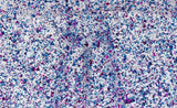 Fuchsia Azure Fusion Glitz | 1 Sheet of 3mm (1/8th Inch), 12x19 inch, Glowforge Performance Series CO2 Laser Ready, Glitter cast Acrylic, Craft Craft Closet