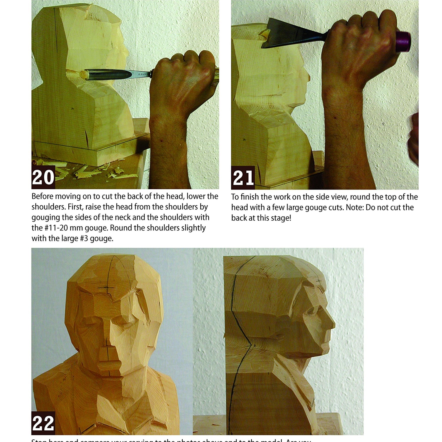 Carving the Head in the Classic European Tradition, Revised Edition: A Woodsculpting Course in Proportion and Design (Fox Chapel Publishing) Design Originals