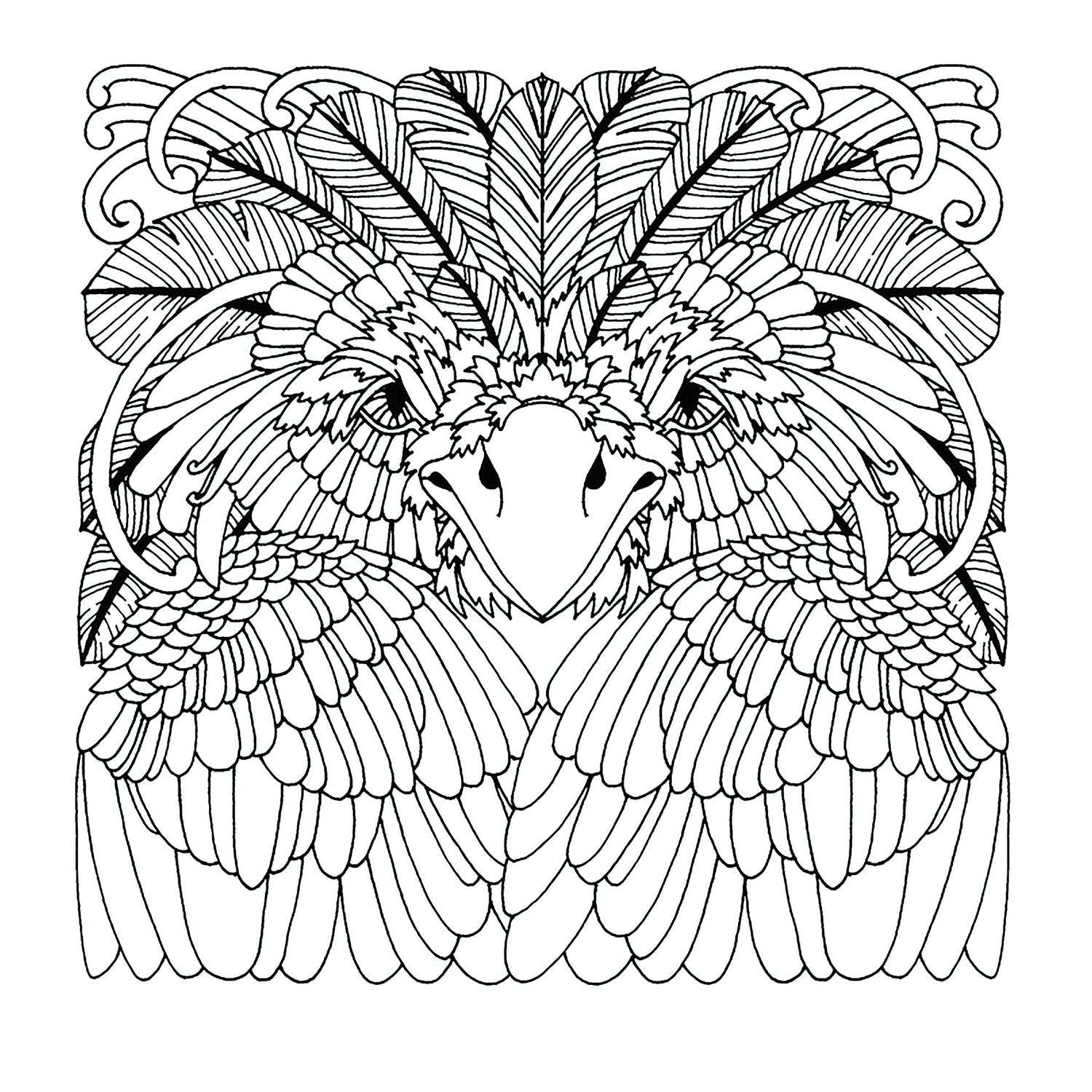 The Art & Craft of Pyrography: Drawing with Fire on Leather, Gourds, Cloth, Paper, and Wood (Fox Chapel Publishing) More Than 40 Patterns, Fox Chapel Publishing