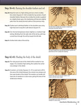 Great Book of Woodburning: Pyrography Techniques, Patterns and Projects for all Skill Levels (Fox Chapel Publishing) 30 Original, Traceable Designs Design Originals