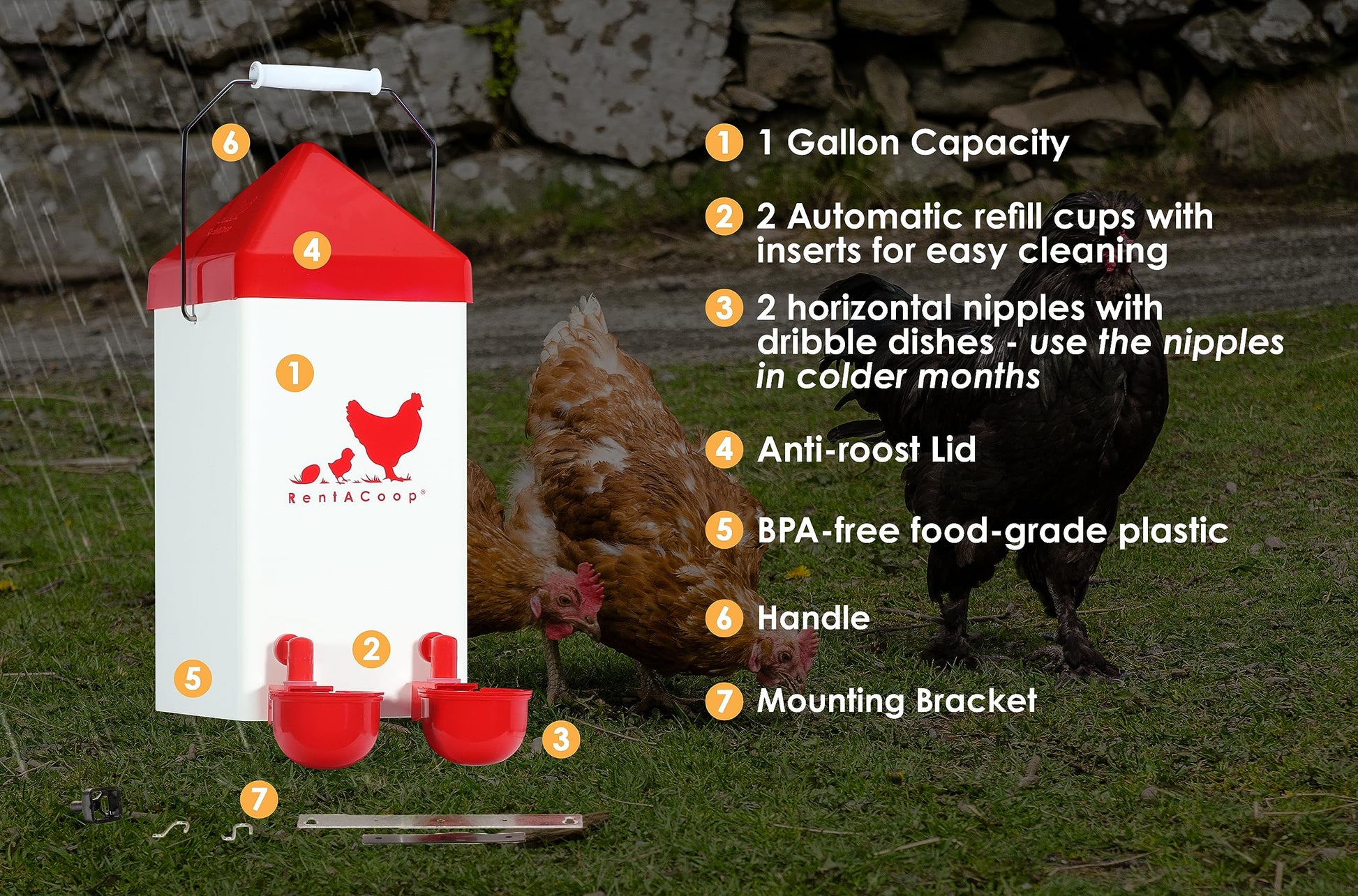 RentACoop Chick2Chicken 5lb 2-Port Feeder and 1-Gal Small Cage Waterer Set - Suitable for Chicks, Chickens, Pigeons, Quail, Game Birds - WoodArtSupply