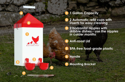 RentACoop Chick2Chicken 5lb 2-Port Feeder and 1-Gal Small Cage Waterer Set - Suitable for Chicks, Chickens, Pigeons, Quail, Game Birds - WoodArtSupply