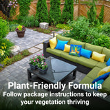 American Hydro Systems 2662 Rid O Liquid Rust Stain Remover, 1-Gallon Bottle, 128 Fl Oz (Pack of 1) American Hydro Systems