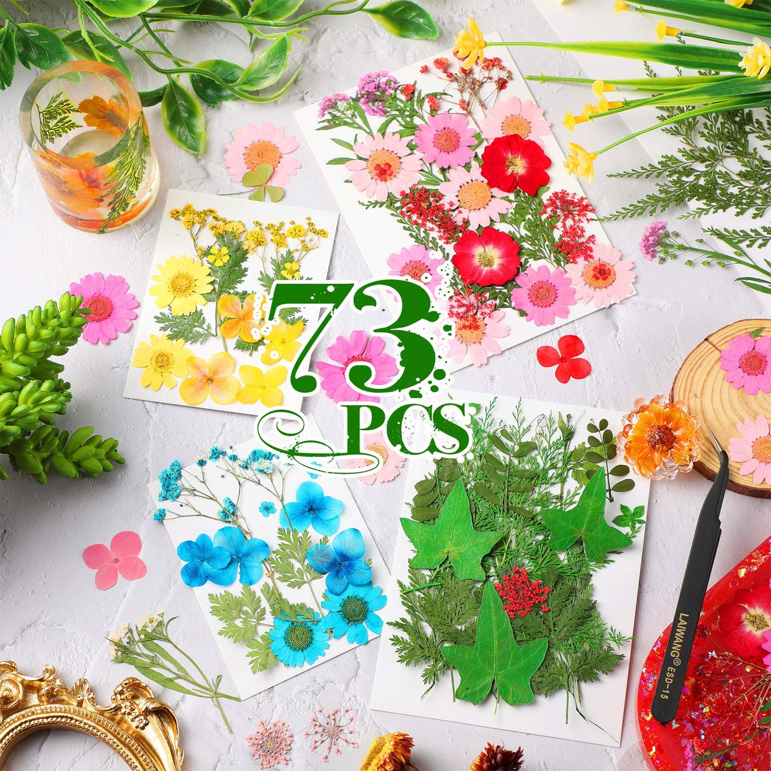 Nuanchu Pressed Flowers Bulk Dried Flower for Resin Mold, Dried Flower Leave Natural with Tweezer for Crafts Christmas DIY Gift Papermaking(Colorful Nuanchu