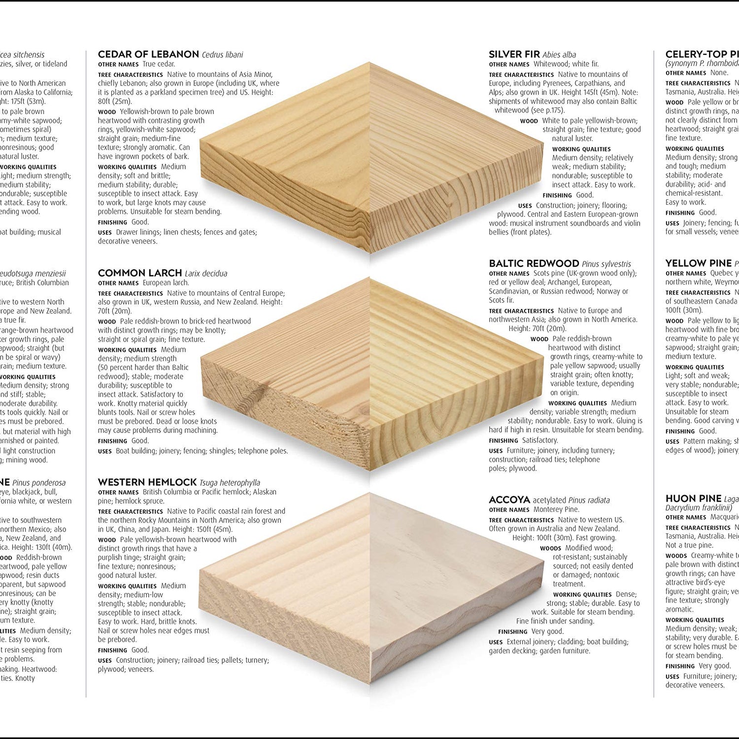 Woodworking: The Complete Step-by-Step Manual DK