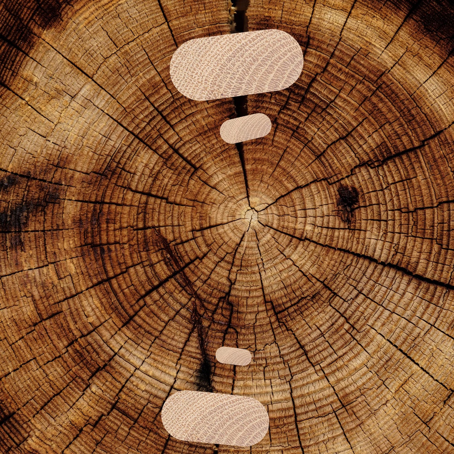 Elliptical Router Template for Woodworking Oval Router Jig Template Inlay Template Set Decorative Templates(4 pcs Oval Inlay Templates) HXLPAY