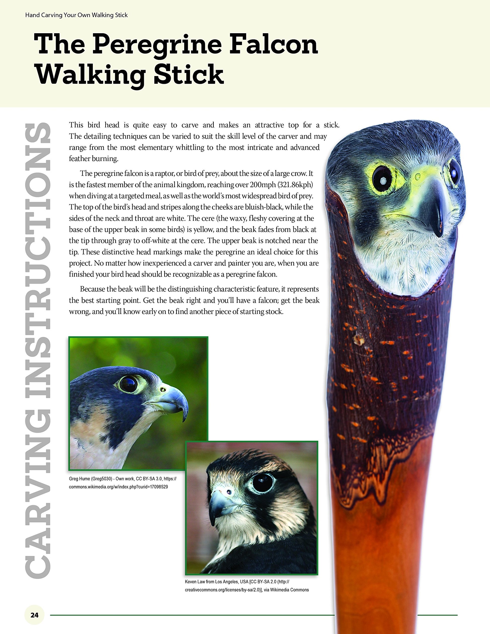 Hand Carving Your Own Walking Stick: An Art Form (Fox Chapel Publishing) Step-by-Step Instructions to Make Artisan-Quality Sticks, Canes, & Staffs - WoodArtSupply