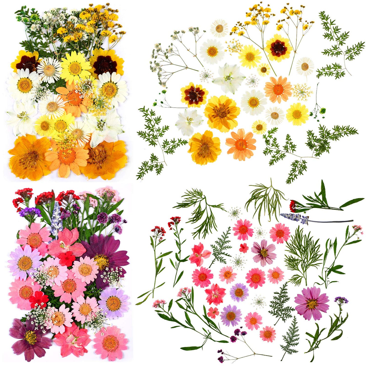 Dried Pressed Flower and Butterfly Transparent Sticker Set, Natural Real Dried Flower Butterfly Scrapbook Decal with Box and Curved Tweezers for DIY Nuanchu