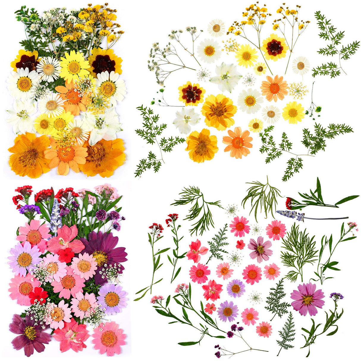 Dried Pressed Flower and Butterfly Transparent Sticker Set, Natural Real Dried Flower Butterfly Scrapbook Decal with Box and Curved Tweezers for DIY Nuanchu