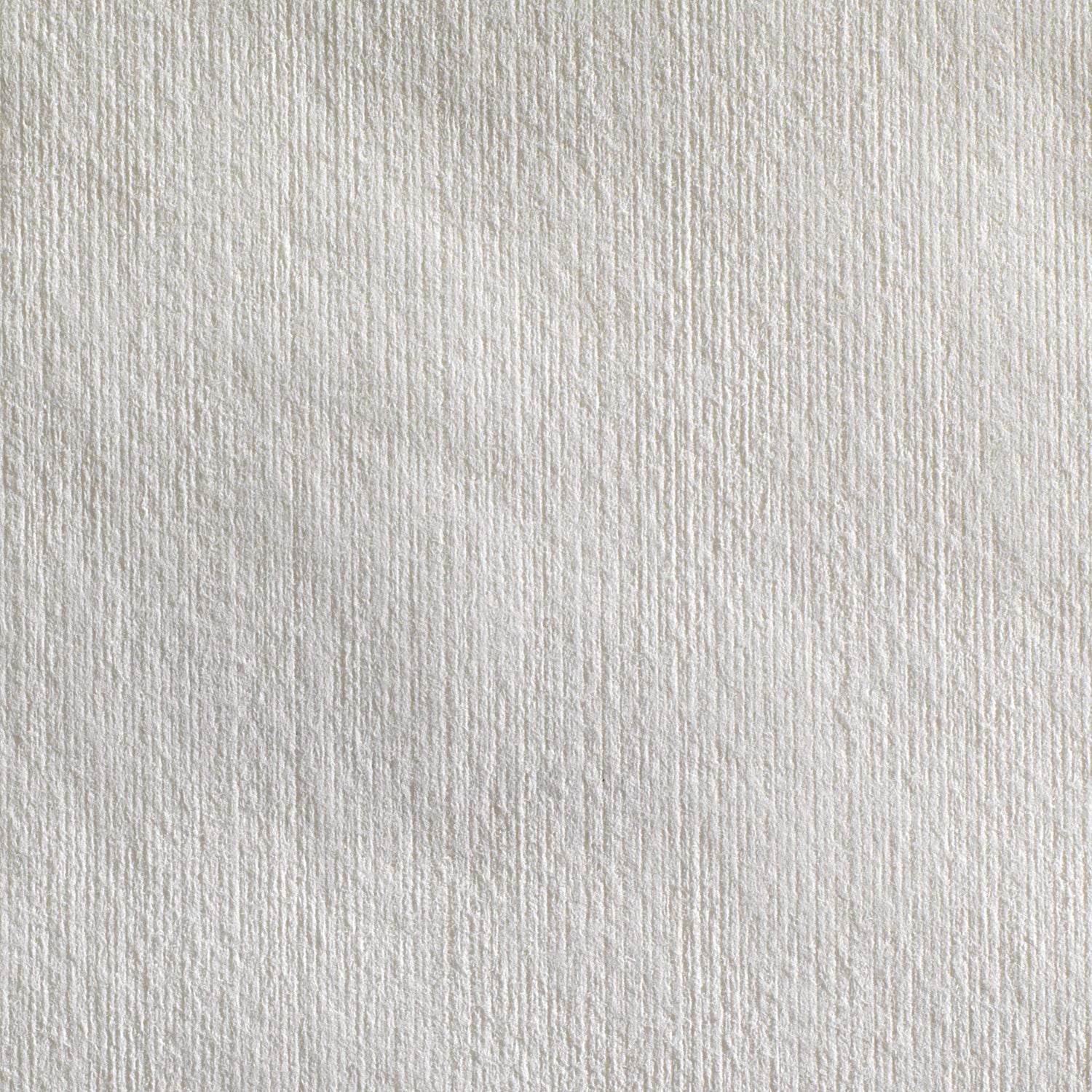 Georgia-Pacific Brawny Professional Heavyweight Disposable Shop Towels, White, 29322, 176 Towels Per Box, 10 Boxes Per Case (1760 Total) Georgia-Pacific