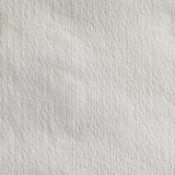 Georgia-Pacific Brawny Professional Heavyweight Disposable Shop Towels, White, 29322, 176 Towels Per Box, 10 Boxes Per Case (1760 Total) Georgia-Pacific