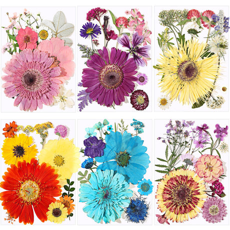 eBoot 72 Pcs Dried Pressed Flowers for Resin Molds Real Pressed Flowers Dry Leaves Bulk Natural Herbs Kit for Scrapbooking DIY Art Crafts Jewelry EBOOT