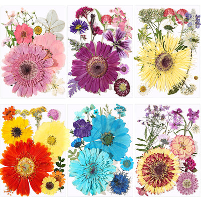 eBoot 72 Pcs Dried Pressed Flowers for Resin Molds Real Pressed Flowers Dry Leaves Bulk Natural Herbs Kit for Scrapbooking DIY Art Crafts Jewelry