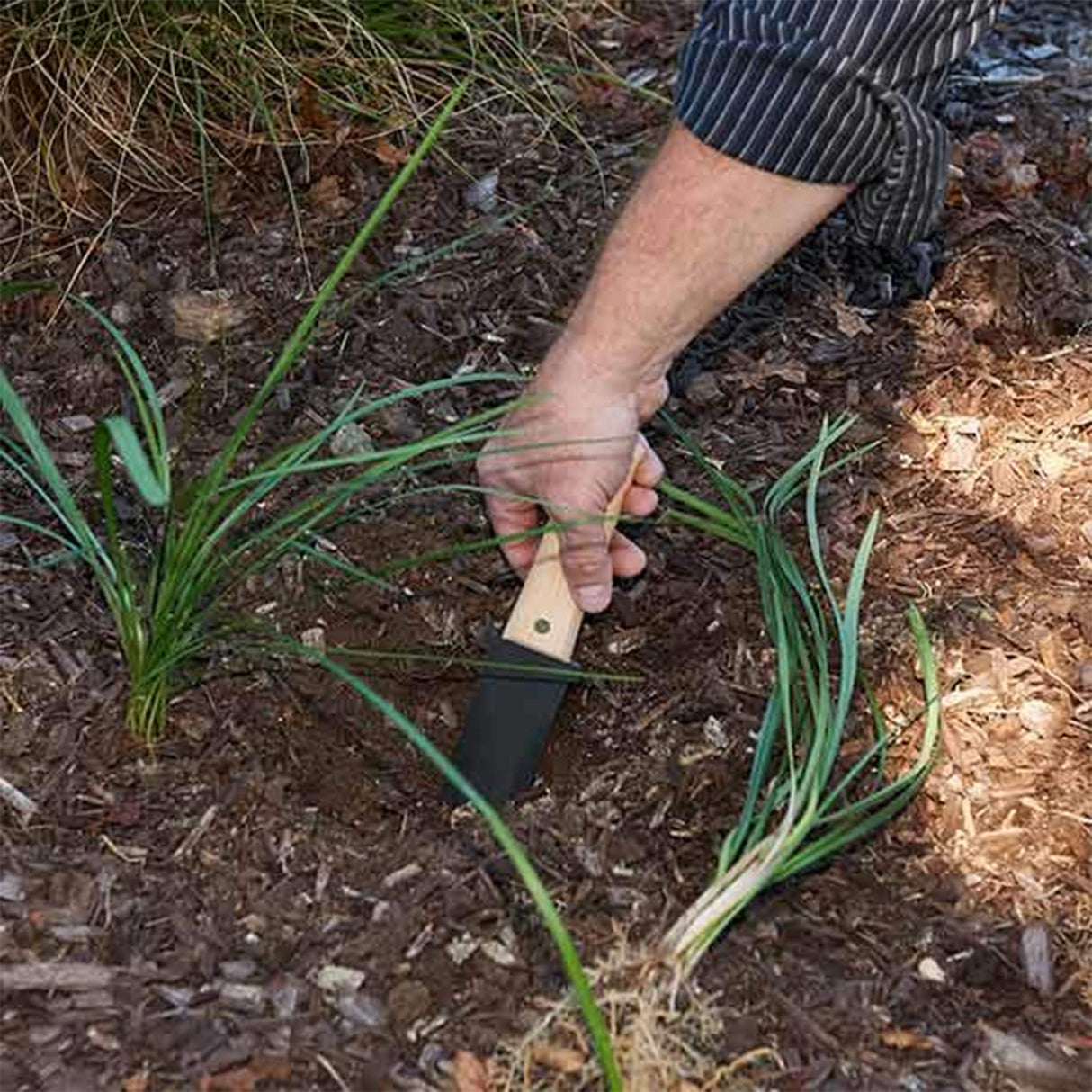 Bonsai Hori Hori Garden Knife Bonsai