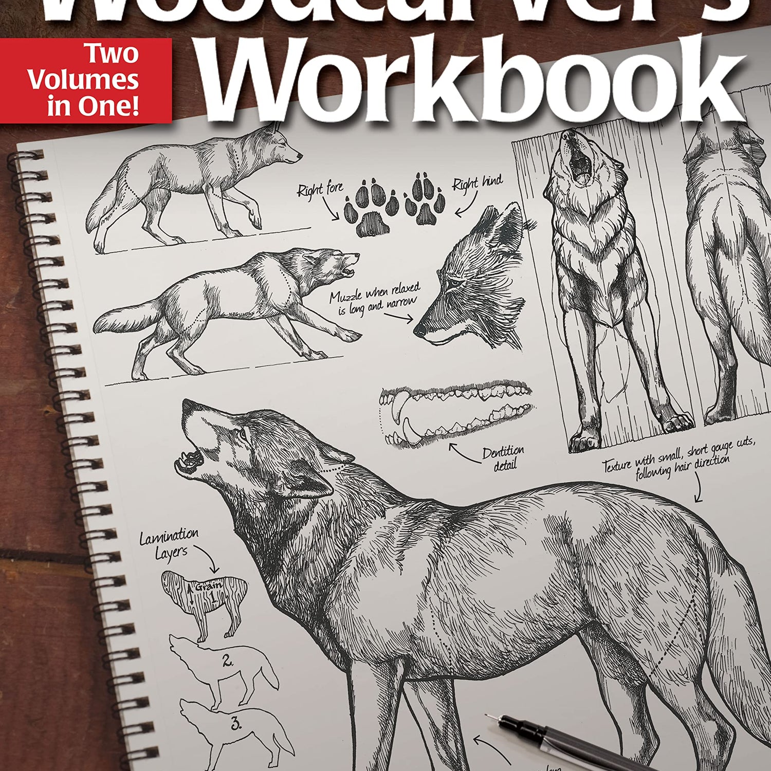 Woodcarver's Workbook: Two Volumes in One! (Fox Chapel Publishing) 16 Step-by-Step Woodcarving Projects with Illustrated Instructions, Patterns, Fox Chapel Publishing
