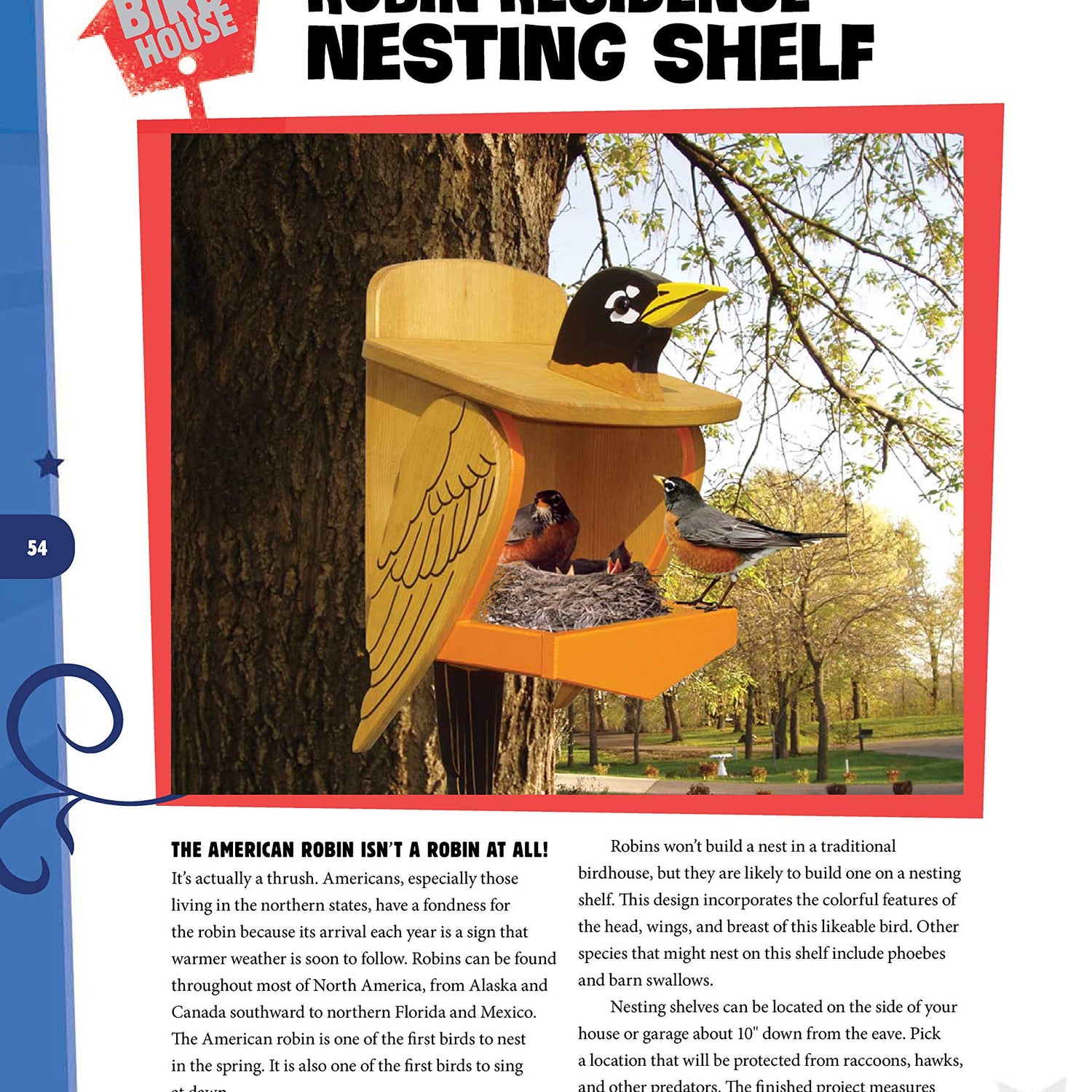 Wild & Wacky Birdhouses and Feeders: 18 Creative and Colorful Projects That Add Fun to Your Backyard (Fox Chapel Publishing) Cartoon, Bear, Tree Design Originals