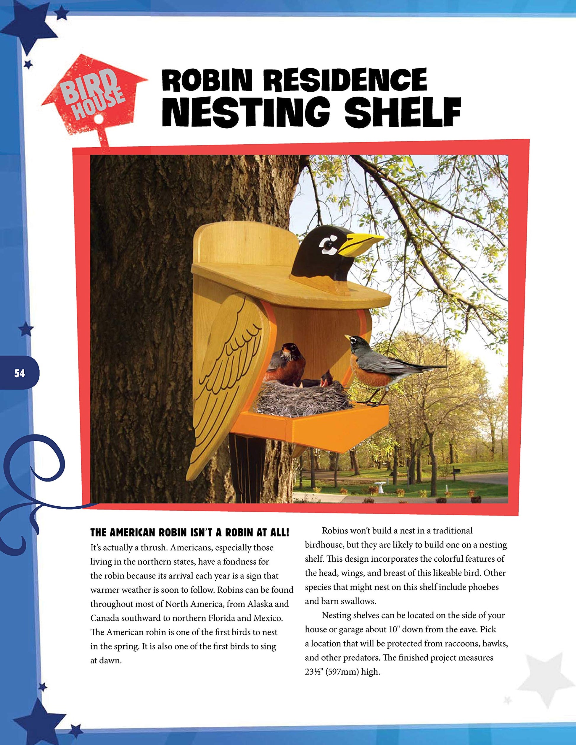 Wild & Wacky Birdhouses and Feeders: 18 Creative and Colorful Projects That Add Fun to Your Backyard (Fox Chapel Publishing) Cartoon, Bear, Tree - WoodArtSupply