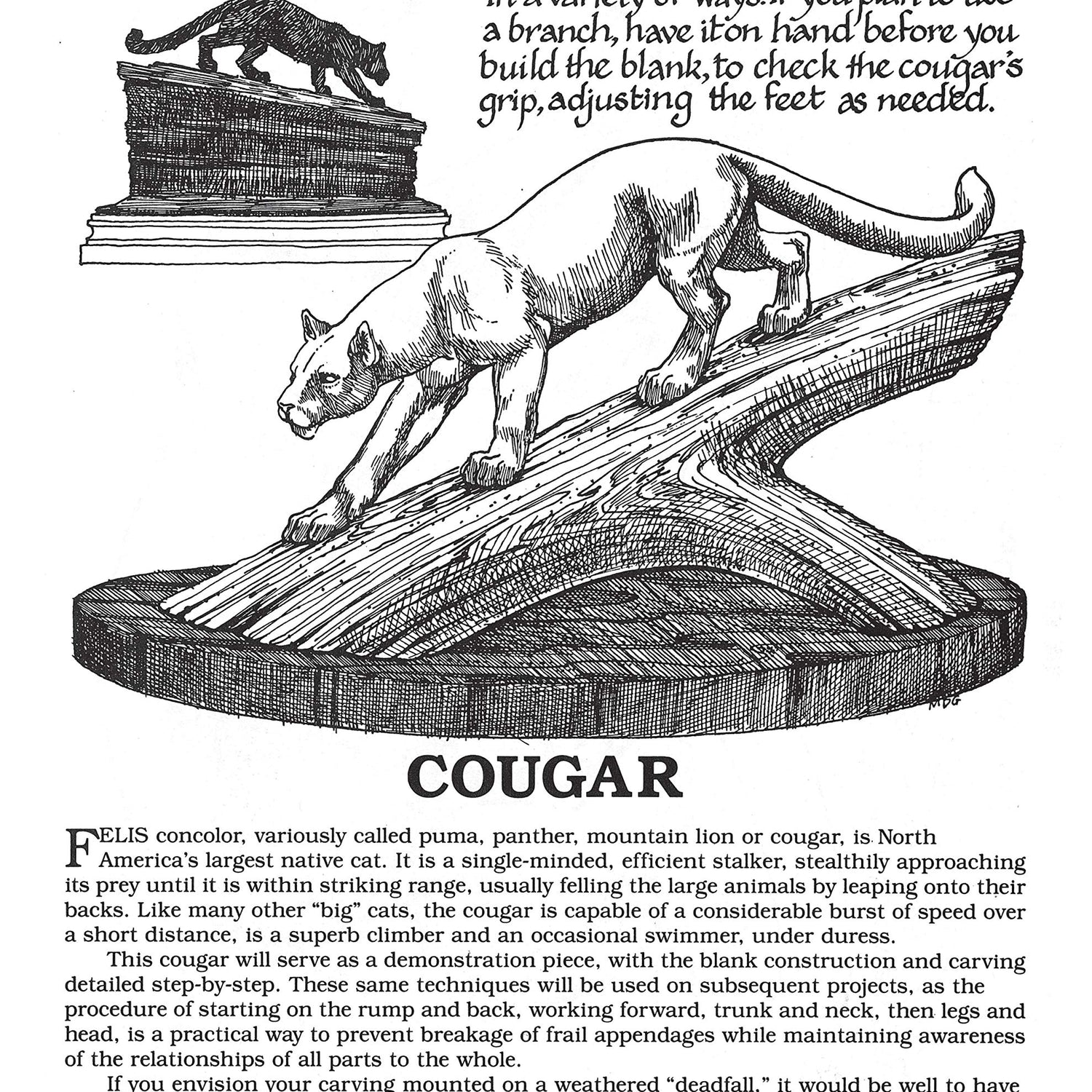 Woodcarver's Workbook: Two Volumes in One! (Fox Chapel Publishing) 16 Step-by-Step Woodcarving Projects with Illustrated Instructions, Patterns, Fox Chapel Publishing