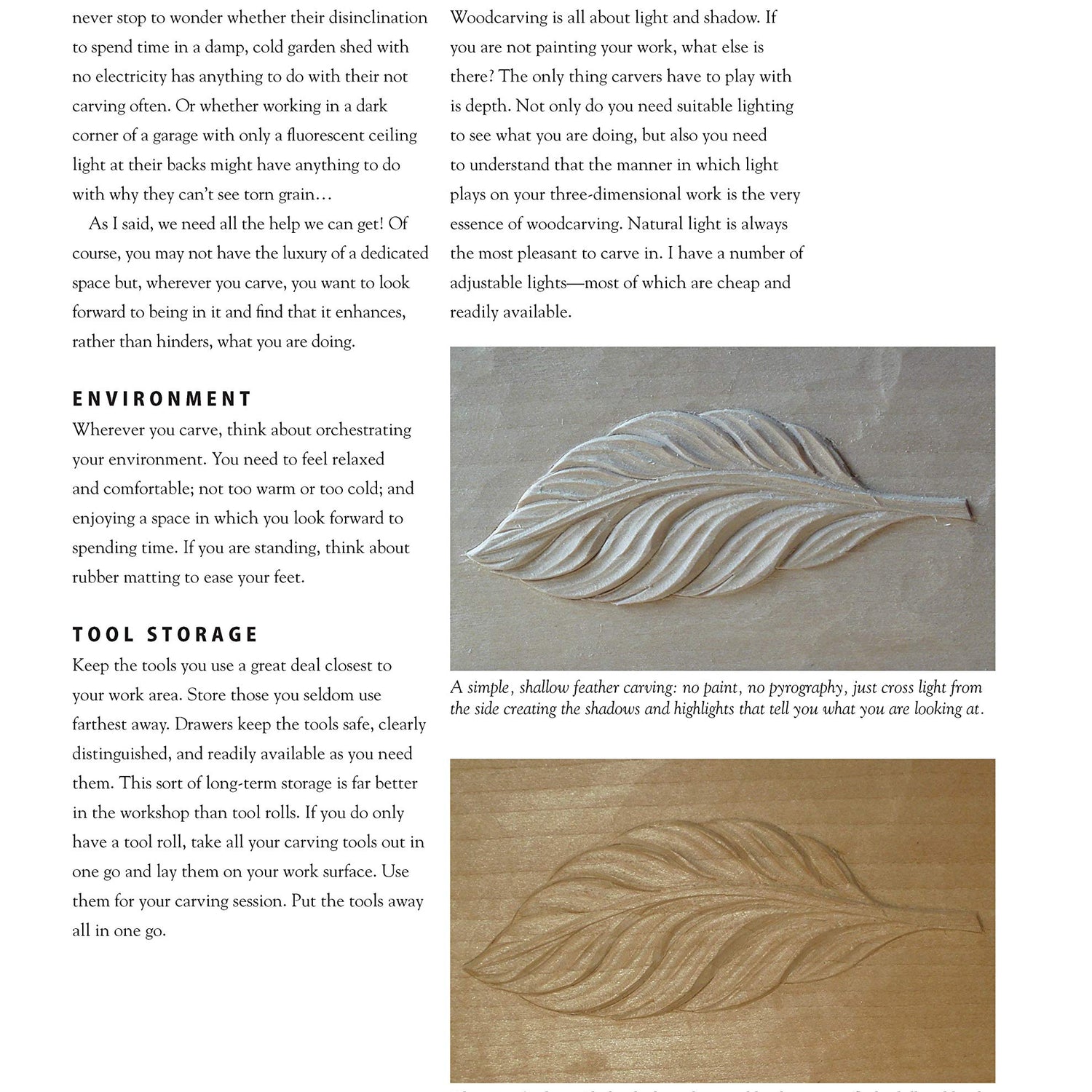 Chris Pye's Woodcarving Course & Reference Manual: A Beginner's Guide to Traditional Techniques (Fox Chapel Publishing) Relief Carving and Design Originals