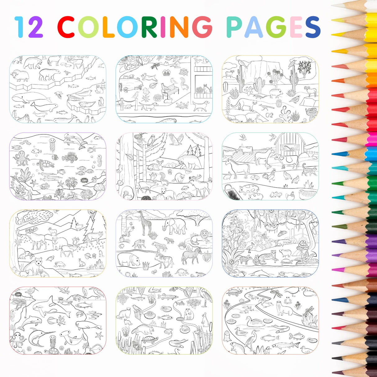 Animal Habitats Sticker Book (500+ Stickers for Kids & 12 Coloring Pages) by Cupkin - Side by Side Activity Book - Fun Sticker Books - Great for CUPKIN