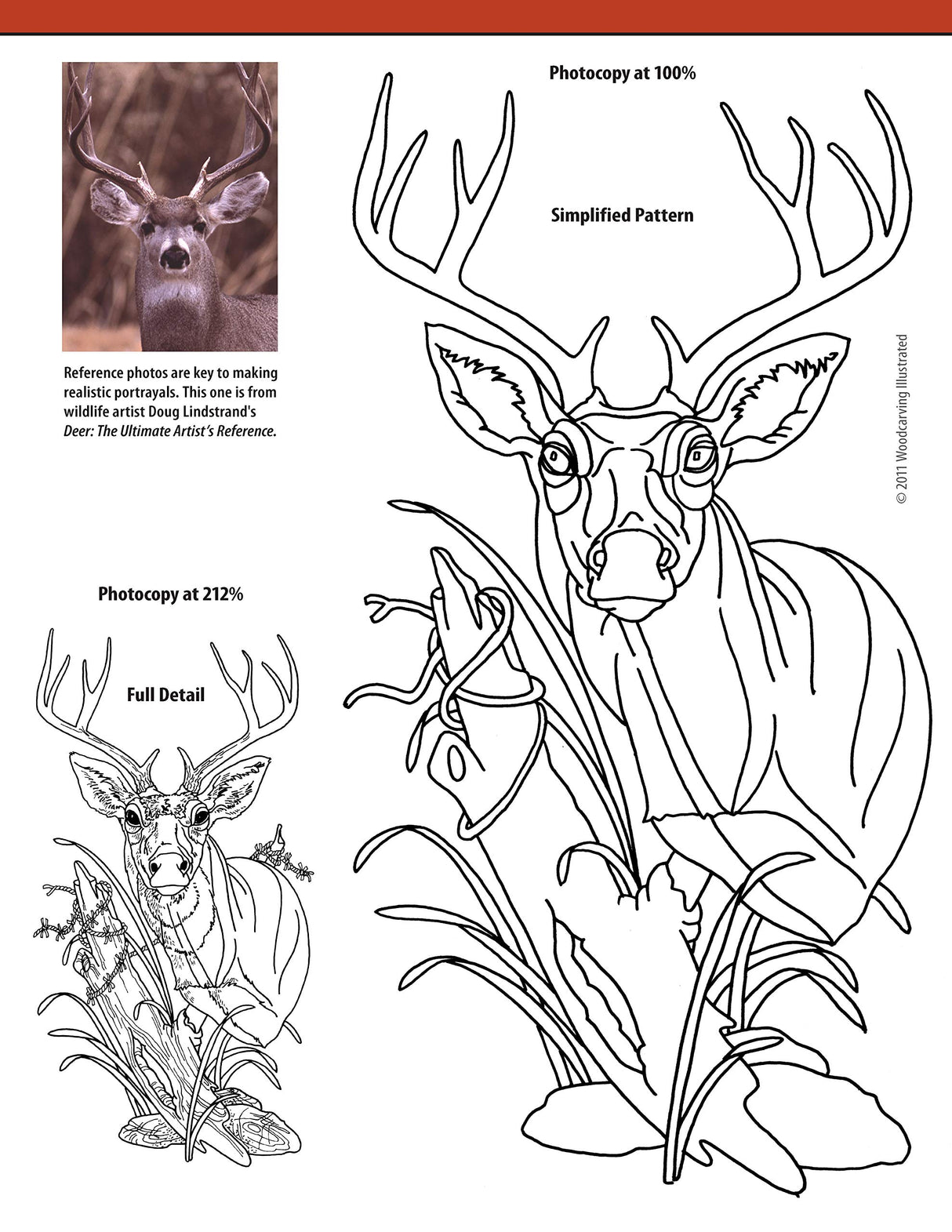 Relief Carving Projects & Techniques: Expert Advice and 37 All-Time Favorite Projects and Patterns (Fox Chapel Publishing) 3D Relief Carving Design Originals