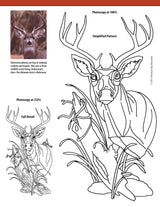 Relief Carving Projects & Techniques: Expert Advice and 37 All-Time Favorite Projects and Patterns (Fox Chapel Publishing) 3D Relief Carving Design Originals