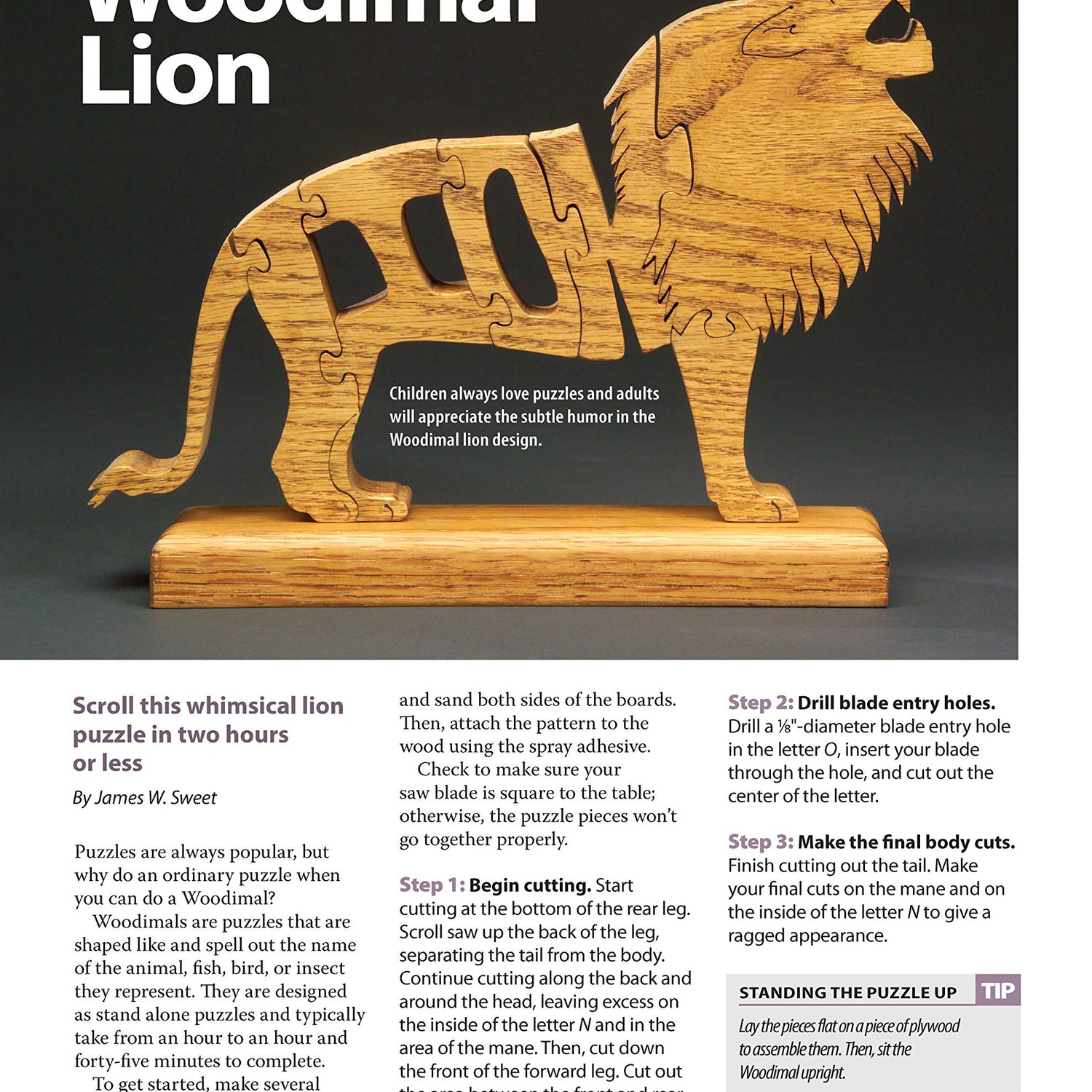 Wooden Puzzles: 31 Favorite Projects and Patterns (Fox Chapel Publishing) Includes Interlocking, Freestanding, Travel-Size, Nested Animals, 3D, Fox Chapel Publishing