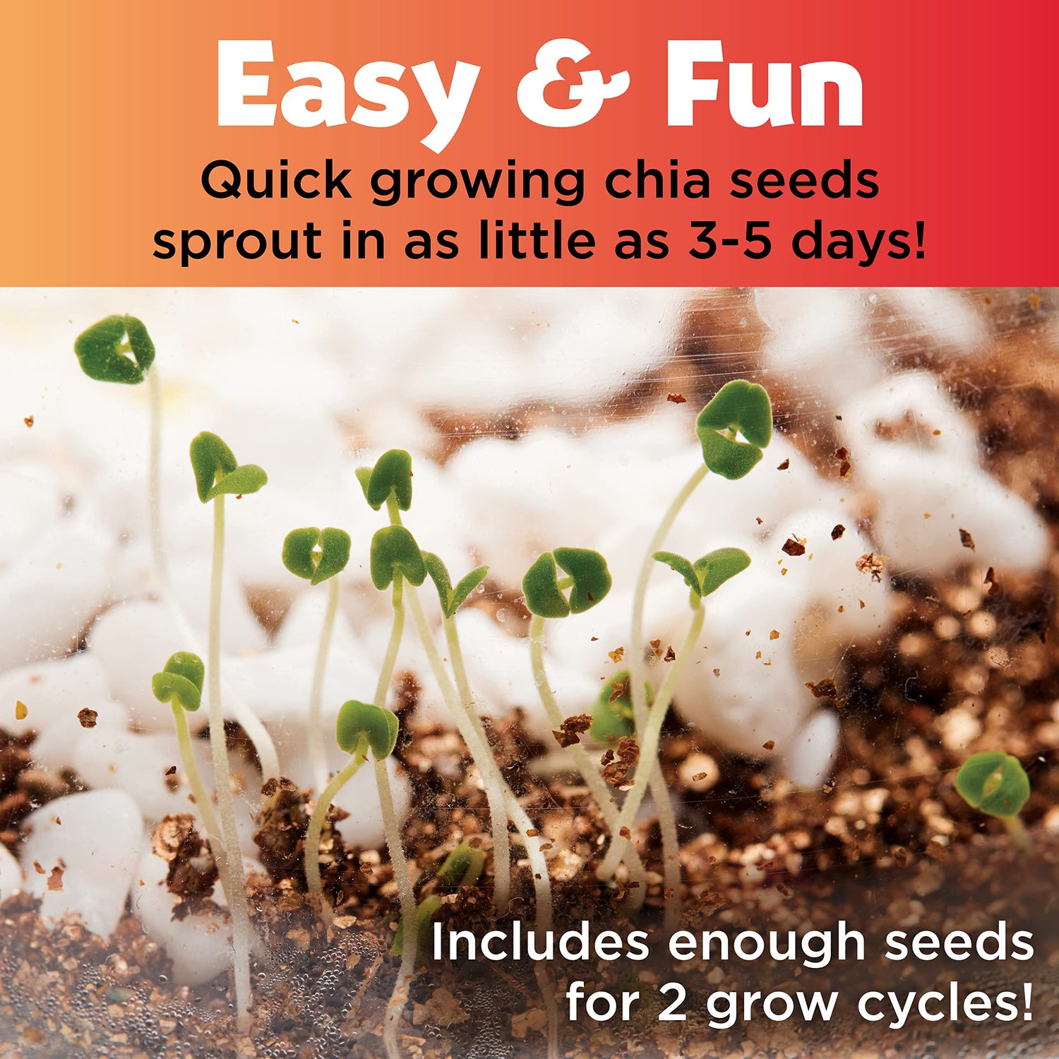 Creativity for Kids Plant and Grow Woodland Forest: Terrarium Kit Activities for Kids, Educational Science and Crafts for Kids Ages 6-8+, Unique Creativity for Kids