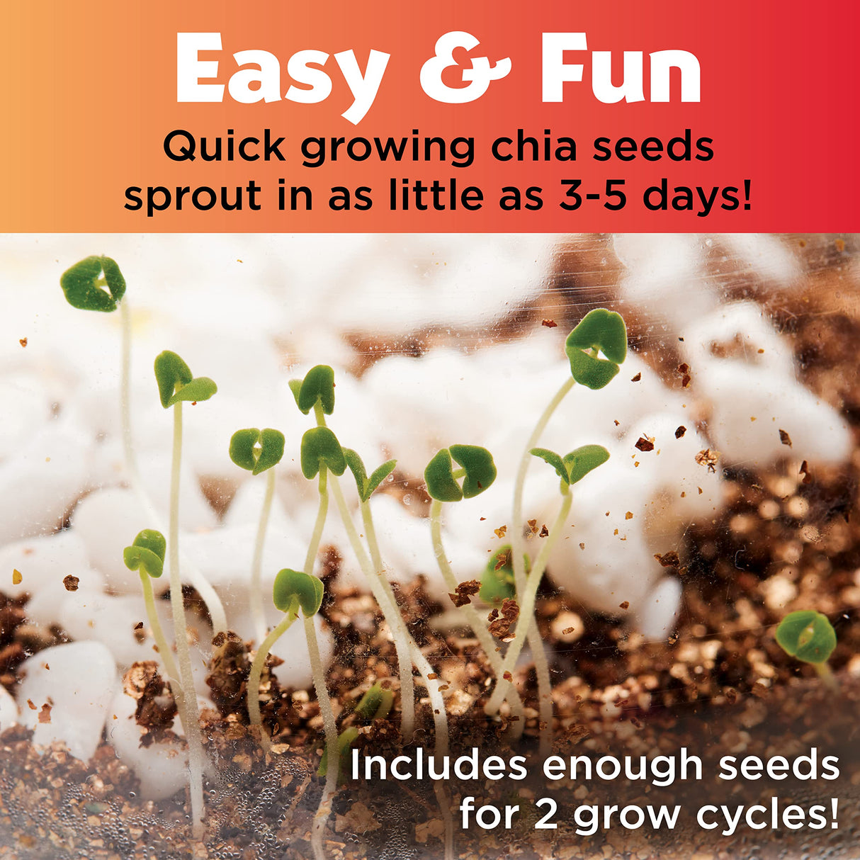 Creativity for Kids Plant and Grow Woodland Forest: Terrarium Kit Activities for Kids, Educational Science and Crafts for Kids Ages 6-8+, Unique Creativity for Kids