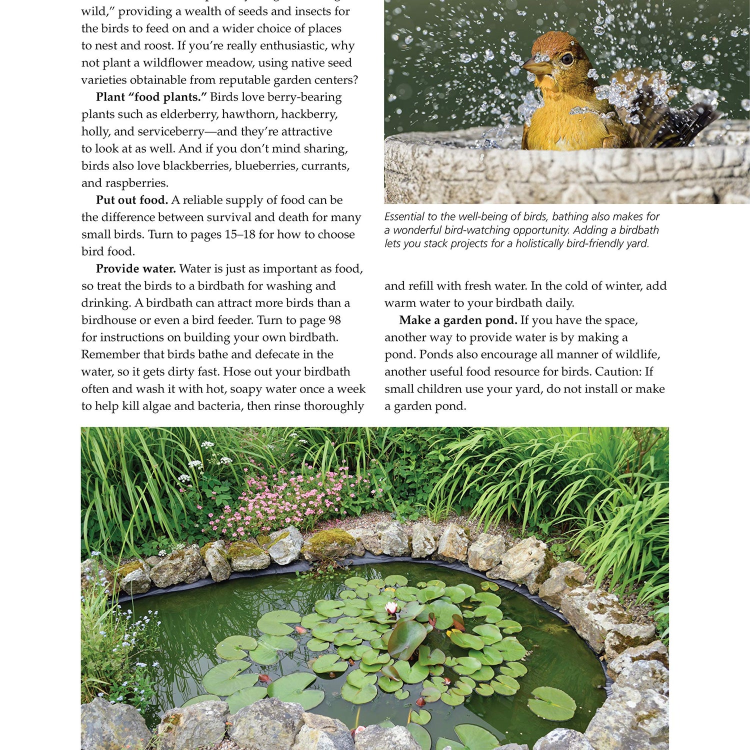 Birdhouses, Boxes & Feeders for the Backyard Hobbyist: 19 Fun-to-Build Projects for Attracting Birds to Your Backyard (Fox Chapel Publishing) Fox Chapel Publishing