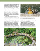 Birdhouses, Boxes & Feeders for the Backyard Hobbyist: 19 Fun-to-Build Projects for Attracting Birds to Your Backyard (Fox Chapel Publishing) Fox Chapel Publishing