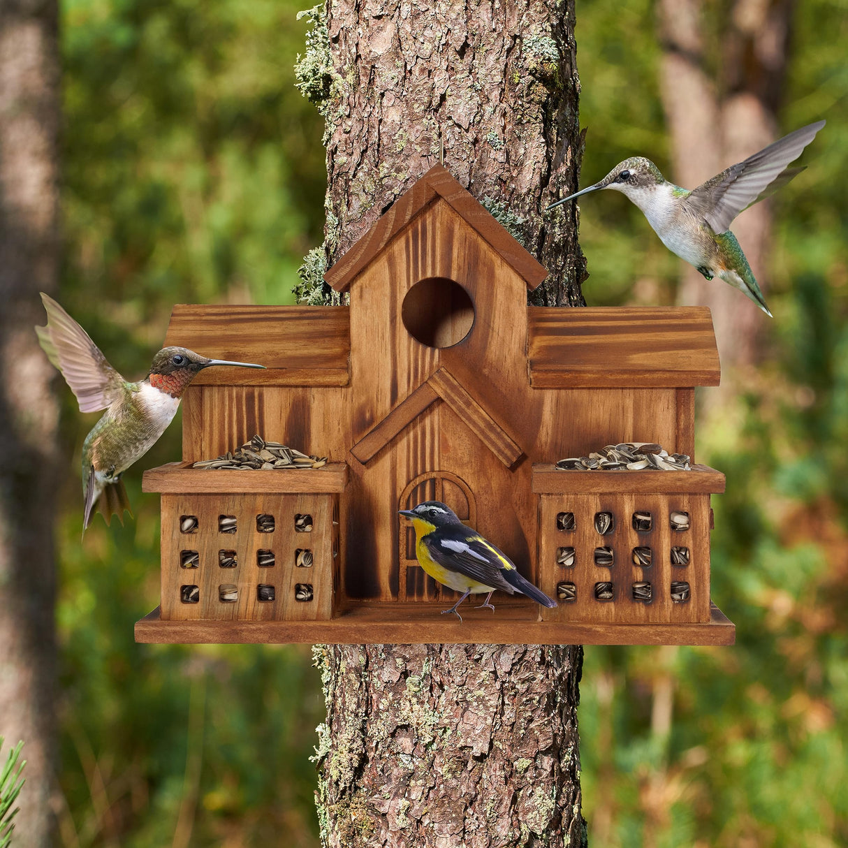 MIXUMON Bird Houses for Outside with Bird Feeder, Outdoor 3 Hole Bird House Room for 3 Bird Families Bluebird Finch Cardinals Hanging Birdhouse for MIXUMON