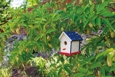 Beetle & Bee Paint A Bird Base, Backyard Birdhouse Kit, Bird House Painting Kit for Kids, DIY Arts & Crafts Gardening For Kids & Teens, Boys & Girls Toysmith
