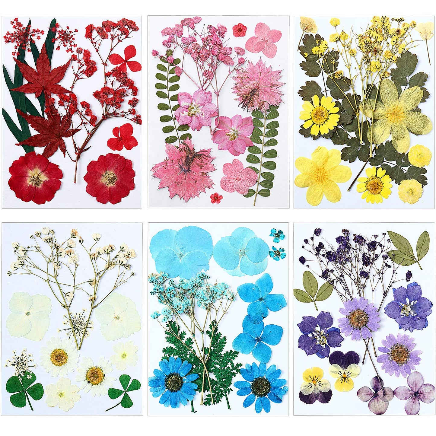 eBoot 72 Pcs Pressed Flowers Bulk Dried Flower for Resin Mold Dried Pressed Flower Leaves Set for Crafts Christmas DIY Gift Floral Scrapbooking - WoodArtSupply