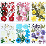 eBoot 72 Pcs Pressed Flowers Bulk Dried Flower for Resin Mold Dried Pressed Flower Leaves Set for Crafts Christmas DIY Gift Floral Scrapbooking EBOOT