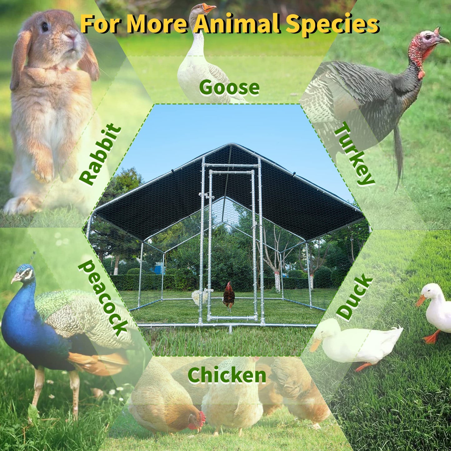 Large Chicken Coop Walk in Metal Runs with Cover Outdoor Pet Pens Poultry Cage Duck Rabbit House Backyard Use 1'Tube(19.2'Lx9.84'Wx6.6'H) - WoodArtSupply