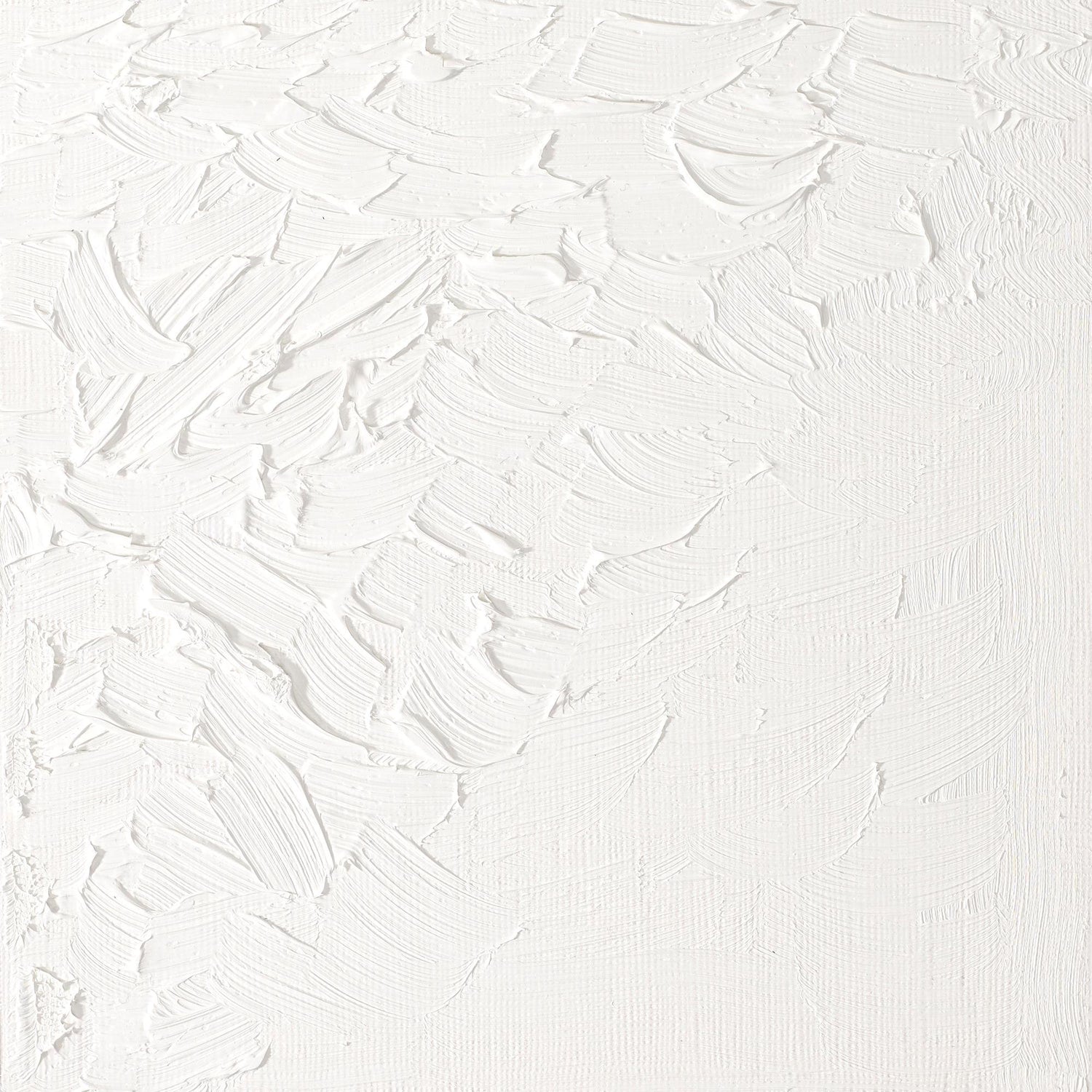 Winsor & Newton Artists' Oil Color, 200ml (6.75 oz) Tube, Titanium White Winsor & Newton