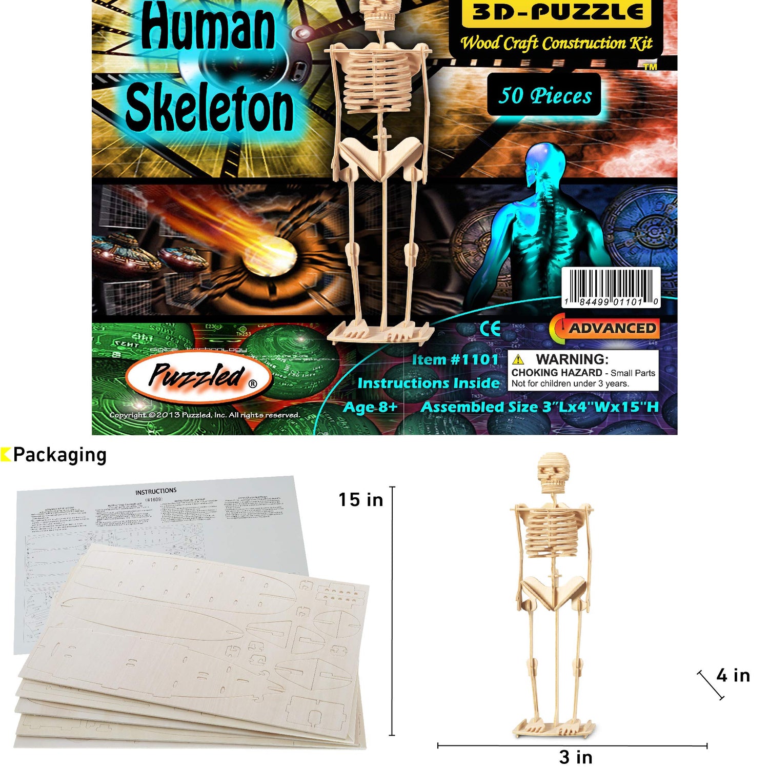Puzzled 3D Puzzle Human Skeleton Wood Craft Construction Model Kit, Fun & Educational DIY Wooden Toy Assemble Model Unfinished Crafting Hobby Puzzle Puzzled