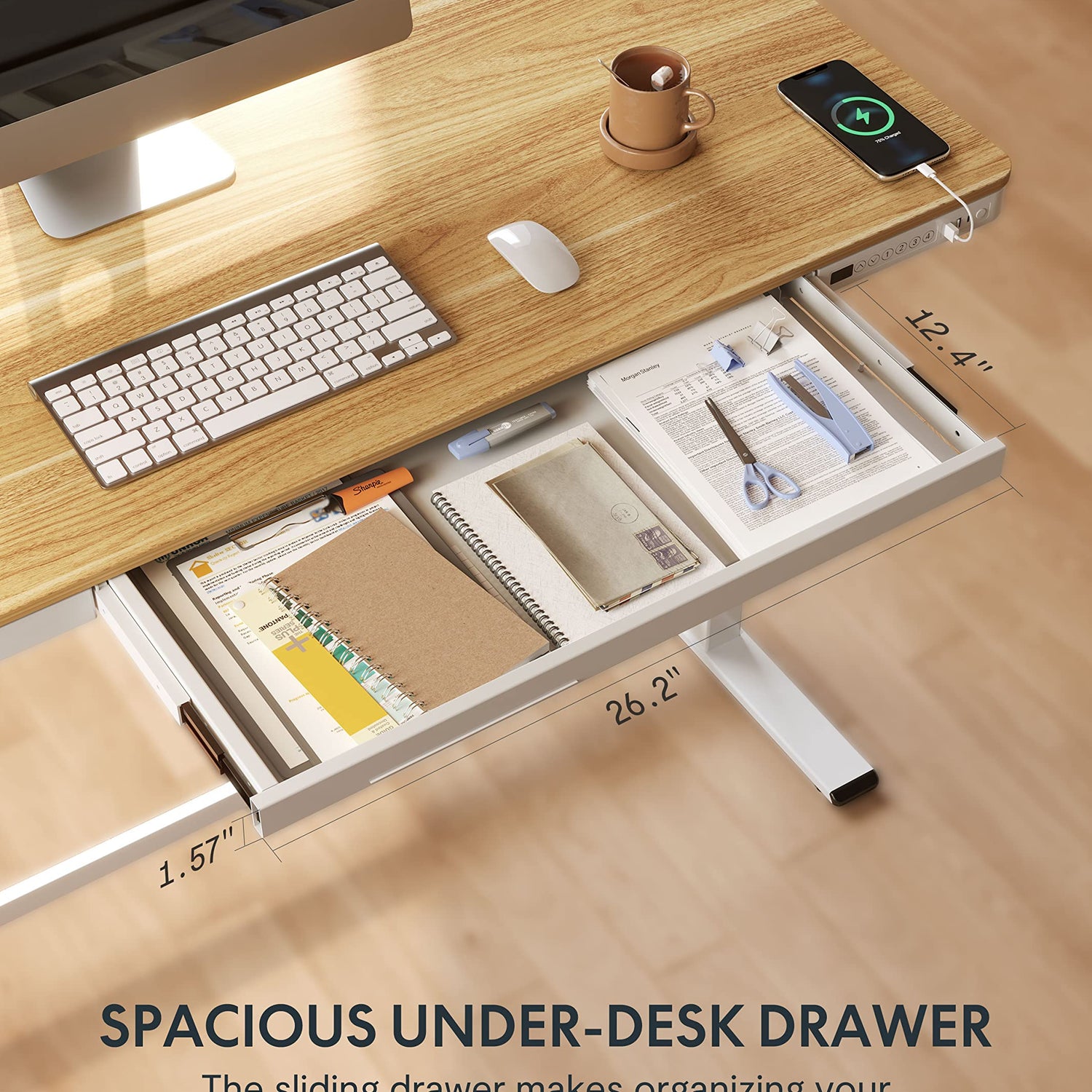 FLEXISPOT 55" Electric Standing Desk with Drawers, Quick Assembly Home Office Sit Stand Desk with Storage, USB Charging, Computer Desk for Home FLEXISPOT