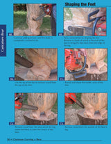 Chainsaw Carving a Bear: A Complete Step-By-Step Guide (Fox Chapel Publishing) Beginner-Friendly Details and Easy-to-Follow Illustrated Instructions Design Originals