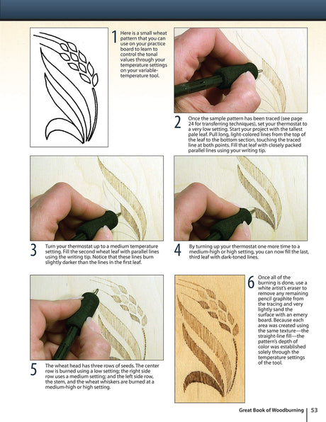 Great Book of Woodburning: Pyrography Techniques, Patterns and Projects for all Skill Levels (Fox Chapel Publishing) 30 Original, Traceable Designs Design Originals